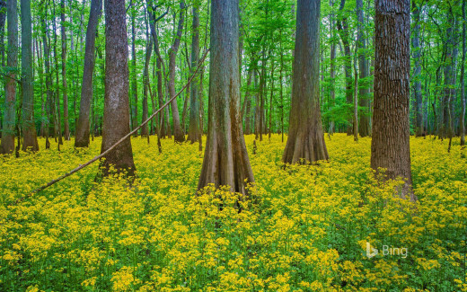 1047096 (a): :1920x1200